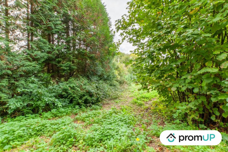 Terrain de loisirs - 1 600 m²