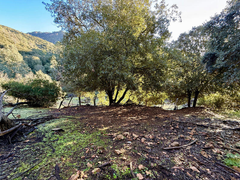 Terrain constructible - 1 164 m²