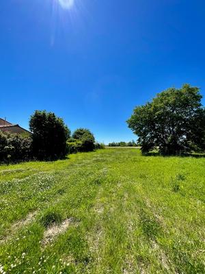 Terrain constructible - 1 954 m²