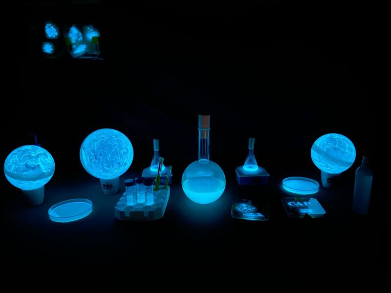 "La Bioluminescence, une idée lumineuse!"