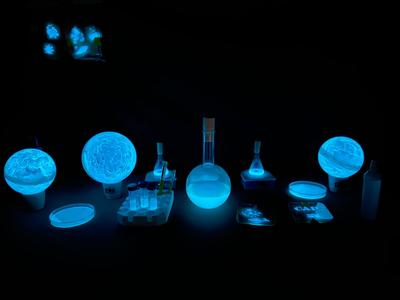 "La Bioluminescence, une idée lumineuse!"