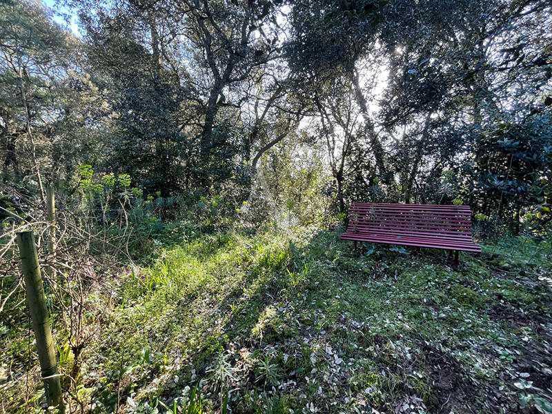 Maison - 130 m² - 8 pièces