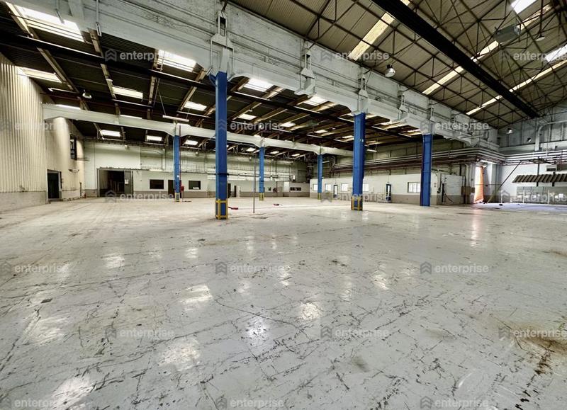Entrepôt - 4 874 m²