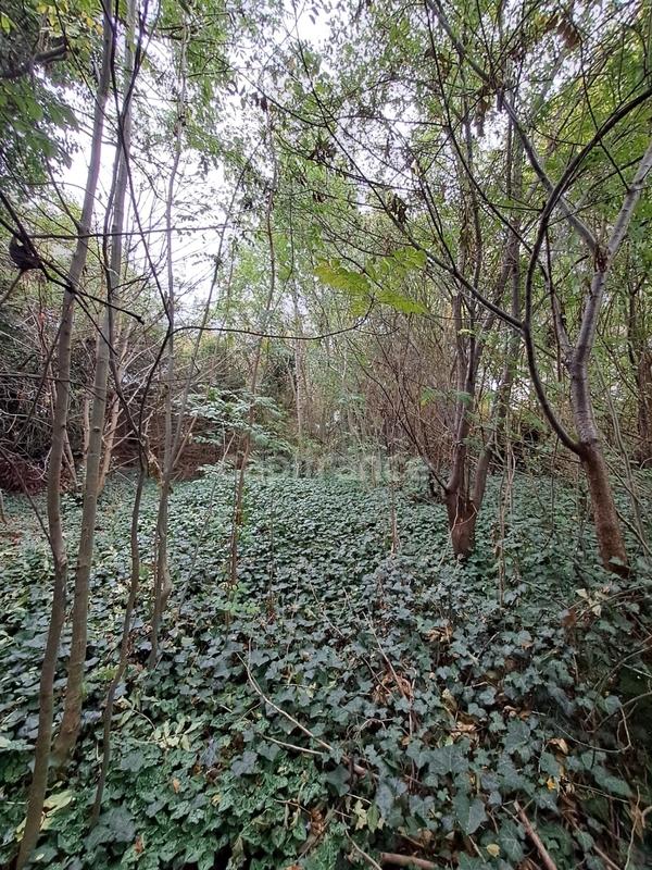 Terrain constructible - 811 m²