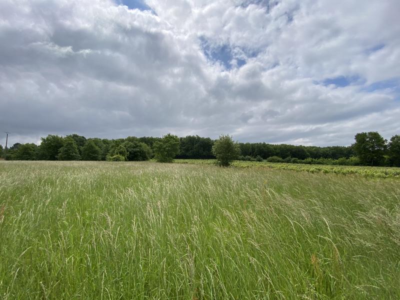 Terrain - 10 076 m²