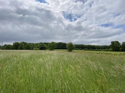 Terrain - 10 076 m²