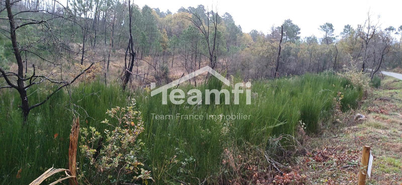 Terrain agricole - 14 279 m²