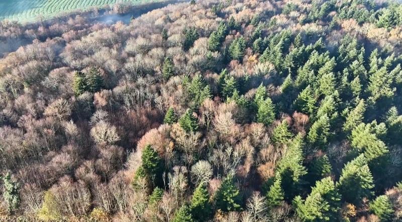 Terrain de loisirs - 12 280 m²