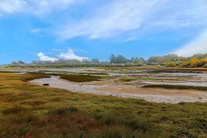 Maison - 170 m² - 5 pièces