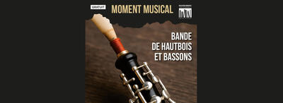 Moment musical à la bibliothèque de Saint-Rémy-de-Provence