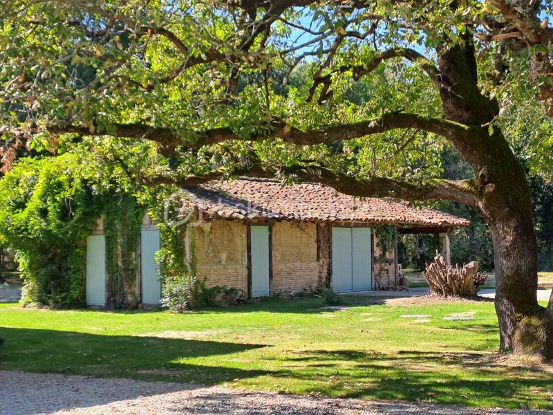 Propriété - 310 m² - 9 pièces