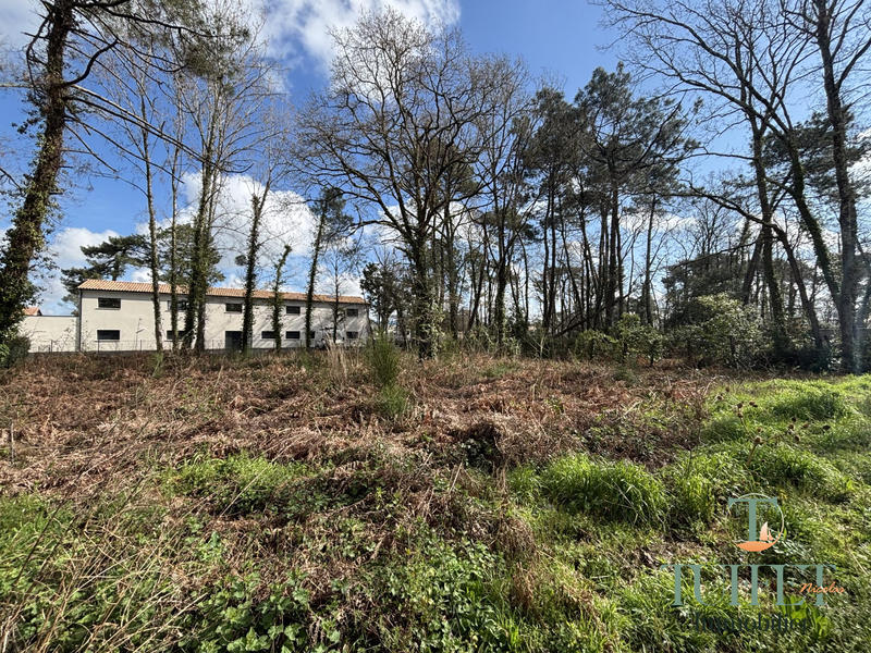 Terrain - 1 271 m²