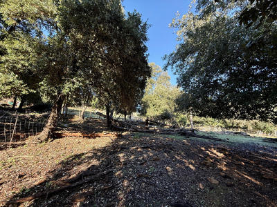 Terrain constructible - 1 164 m²