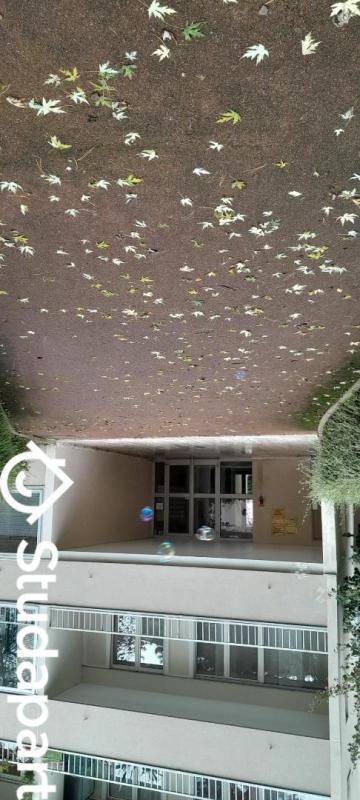 Appartement - 34 m² - 1 pièce