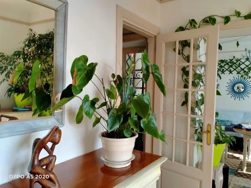 Villa - 103 m² - 5 pièces