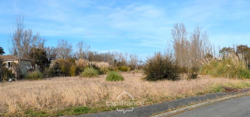 Terrain constructible - 6 000 m²