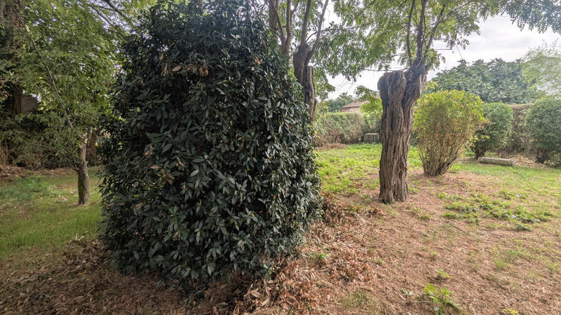 Maison - 205 m² - 8 pièces