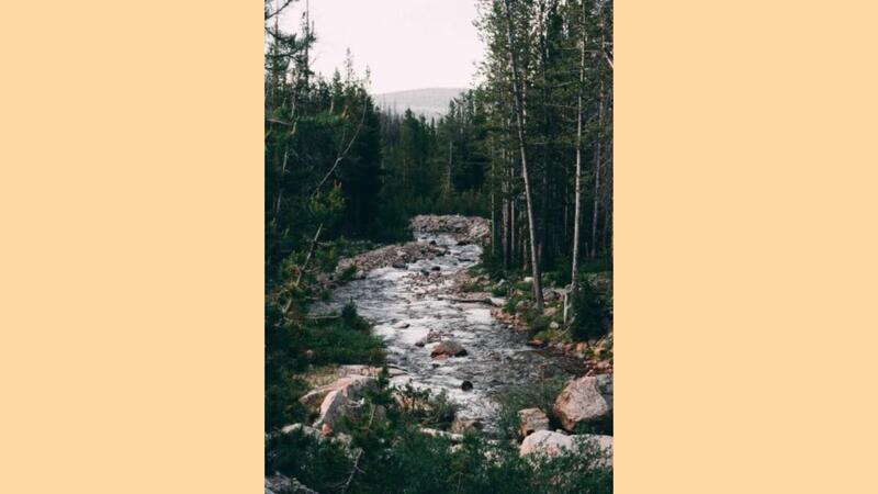 Excursion : Carnets d'aventures