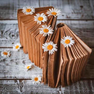 La nuit des mystères