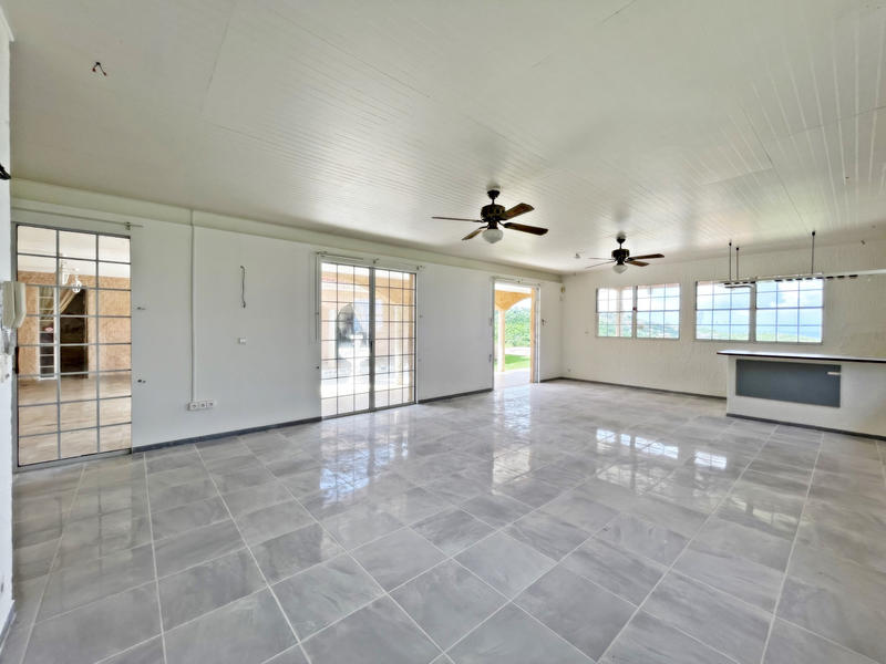 Maison - 317 m² - 8 pièces