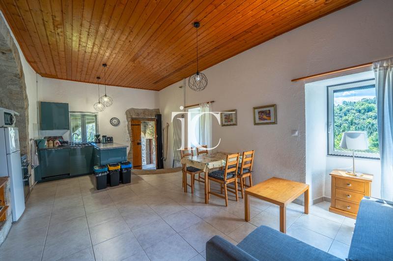 Maison - 300 m² - 12 pièces