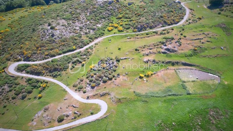 Corps de ferme - 100 m² - 5 pièces