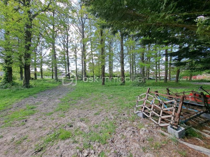 Maison de domaine équestre - 116 m² - 5 pièces