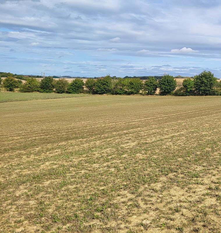 Terrain constructible - 634 m²