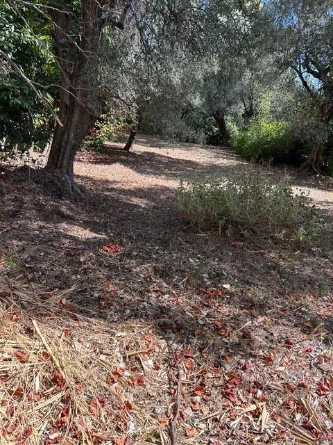 Maison - 151 m² - 6 pièces