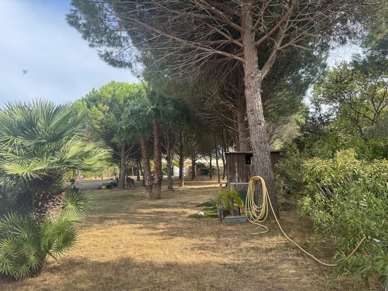 Terrain constructible - 5 997 m²