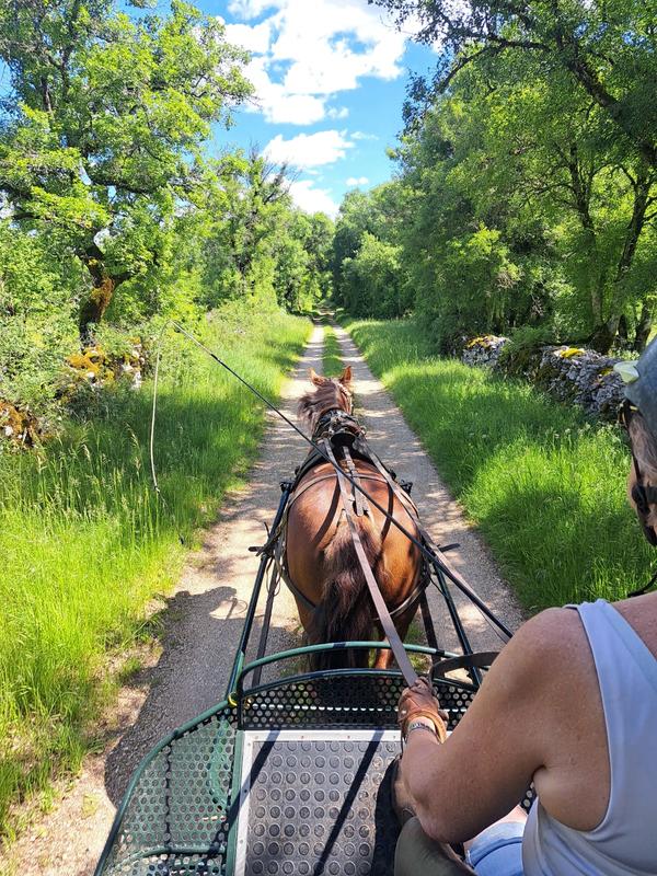 Challenge Kalapca Loisirs - balades en calèche