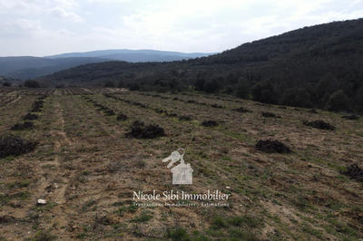 Terrain agricole - 4 160 m²