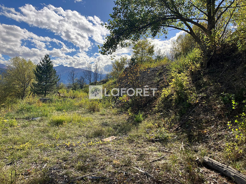 Terrain - 3 762 m²