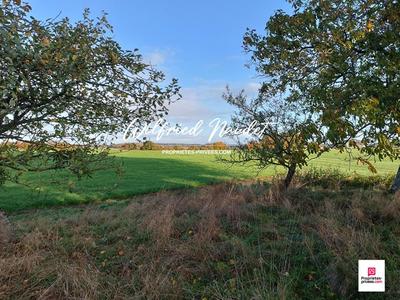 Longère - 113 m² - 5 pièces