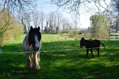 Maison - 74 m² - 5 pièces