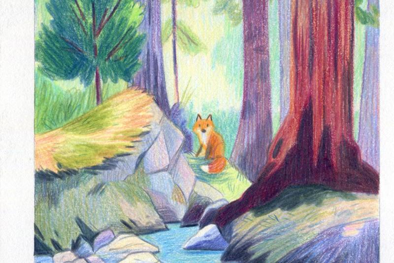 Exposition : la nature en couleurs