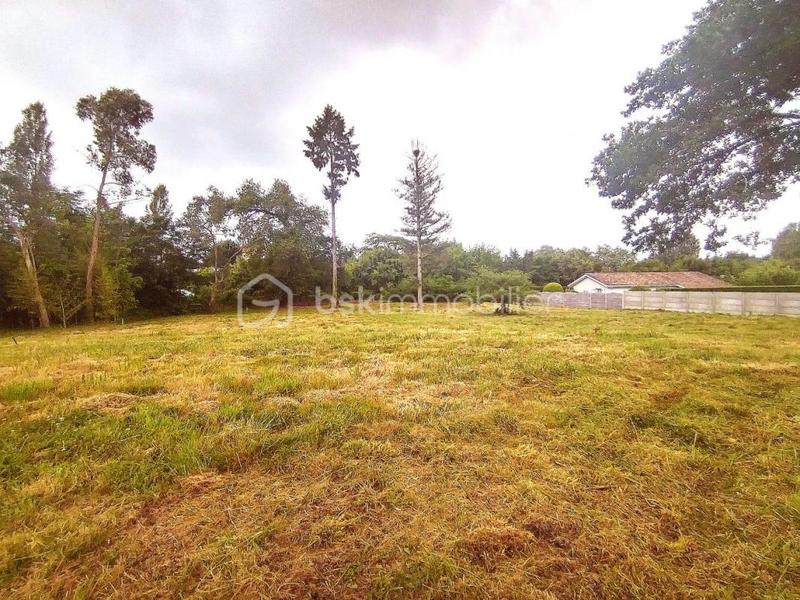 Terrain constructible - 1 564 m²