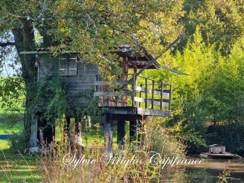 Propriété - 153 m² - 7 pièces