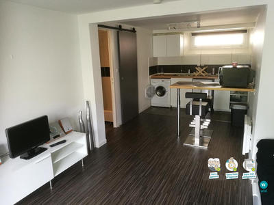 Studio - 24 m² - 1 pièce