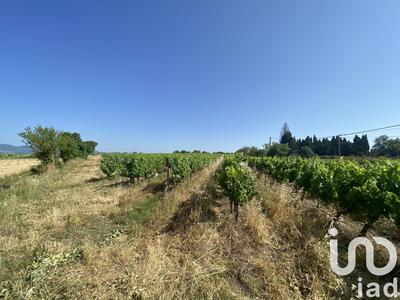 Terrain agricole - 58 175 m²