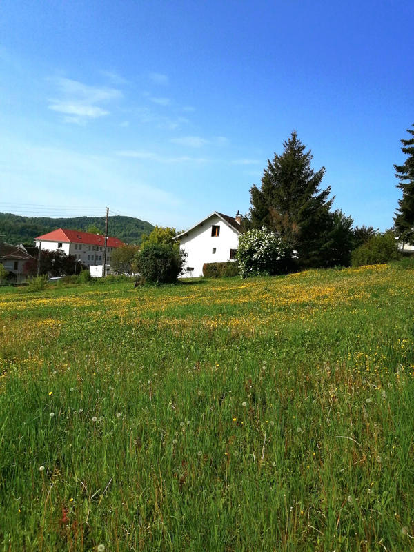 Terrain - 1 855 m²