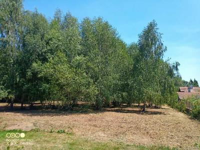 Terrain constructible - 2 275 m²