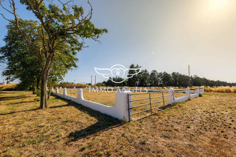 Mas - 575 m² - 21 pièces