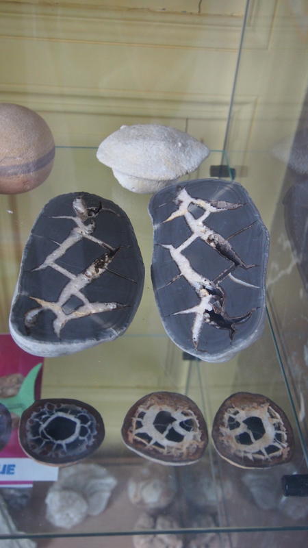 Maison des curiosités naturelles