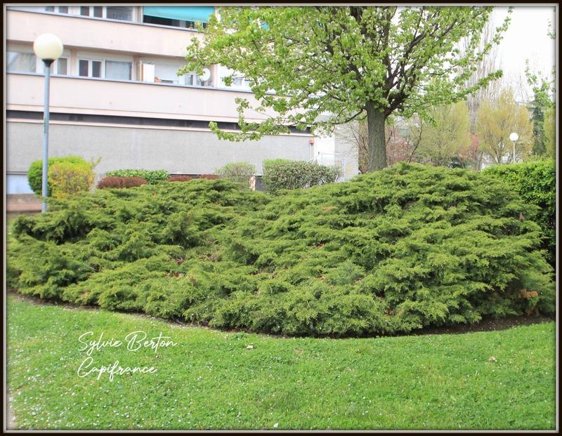 Appartement - 84 m² - 5 pièces