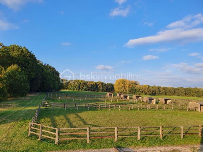 Maison de domaine équestre - 800 m² - 25 pièces