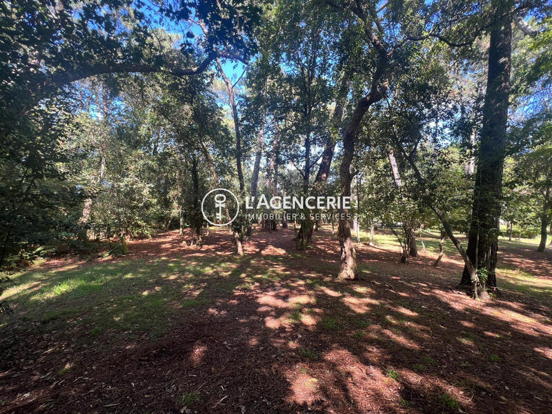 Maison - 420 m² - 10 pièces