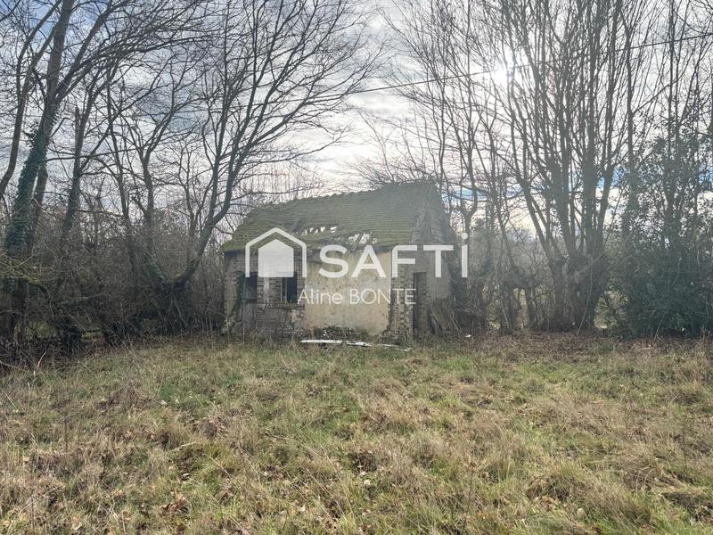 Maison - 270 m² - 2 pièces