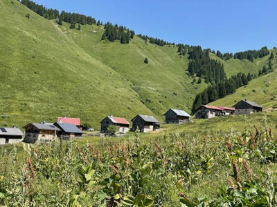 Maison - 80 m² - 5 pièces