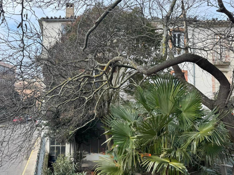 Maison - 256 m² - 9 pièces